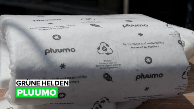 Grüne Helden: Pluumo