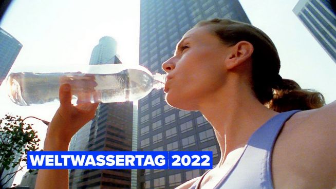 5 interessante Fakten über Wasser