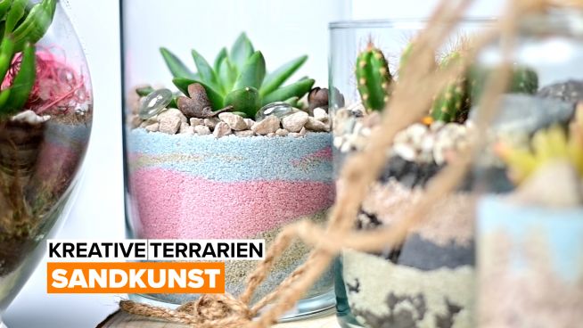 Kreative Terrarien: Sandkunst