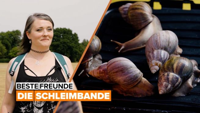 Beste Freunde: die Schleimbande