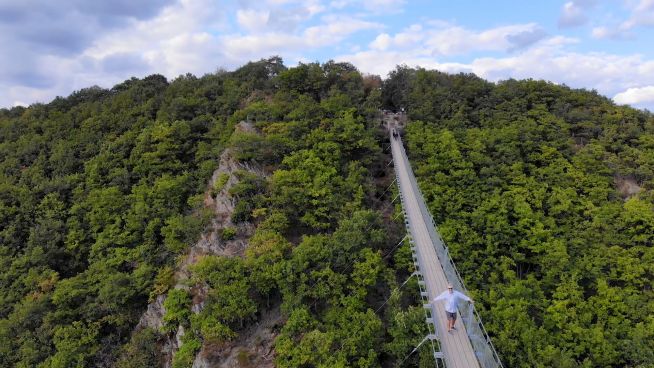 Durch den Wald im Hunsrücker Mittelgebirge