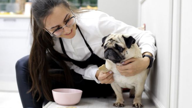 Hundekekse für deinen Liebsten